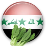 Logo of المطبخ العراقي android Application 